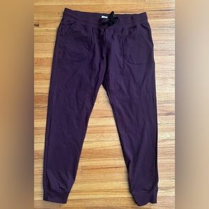 Zyia Plum Everywhere Joggers